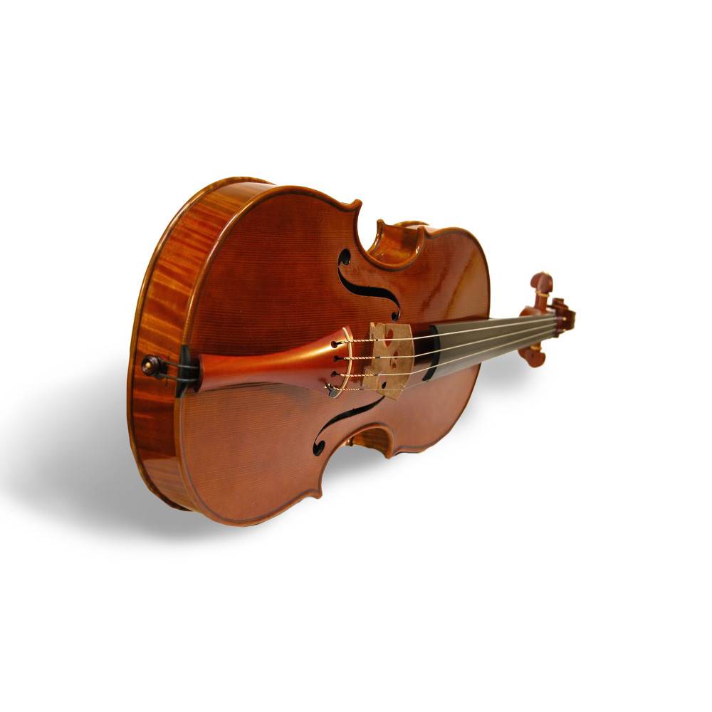 violon