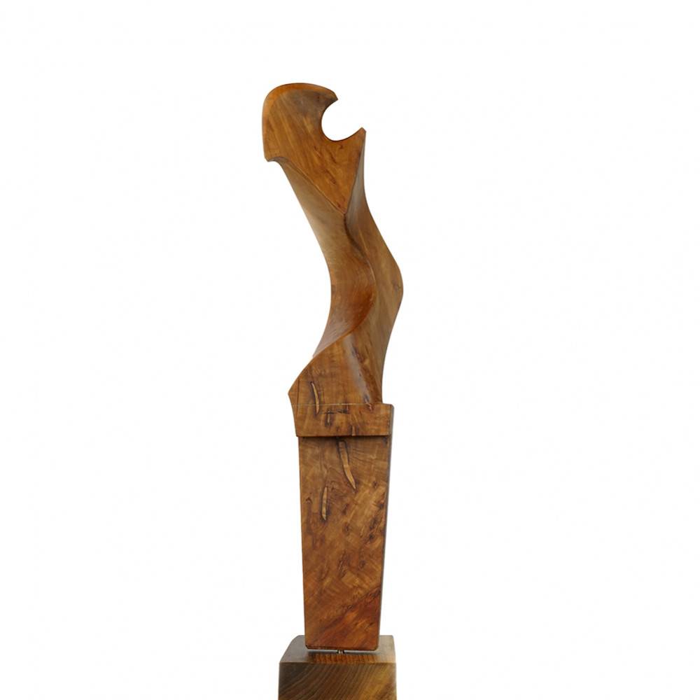 Форкола для гондолы...