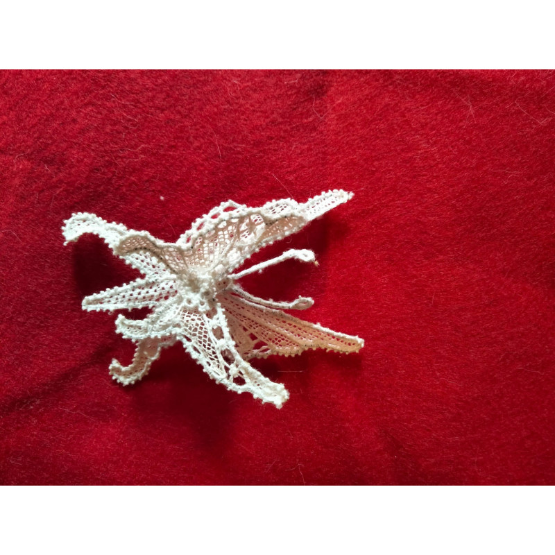 Papillon en dentelle de Burano Papillon en dentelle de Burano