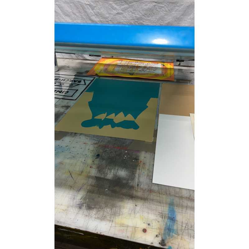 Venice Carnival Venice Carnival