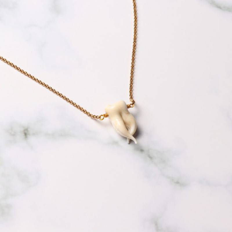 Molar pendant necklace