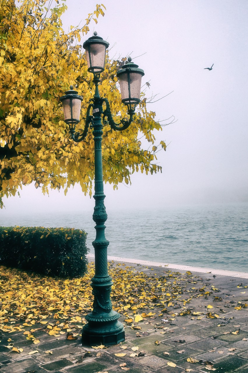 Welcome Autumn!